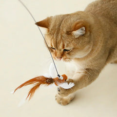 9de6b19e17e252c42e14520dbdde4f13