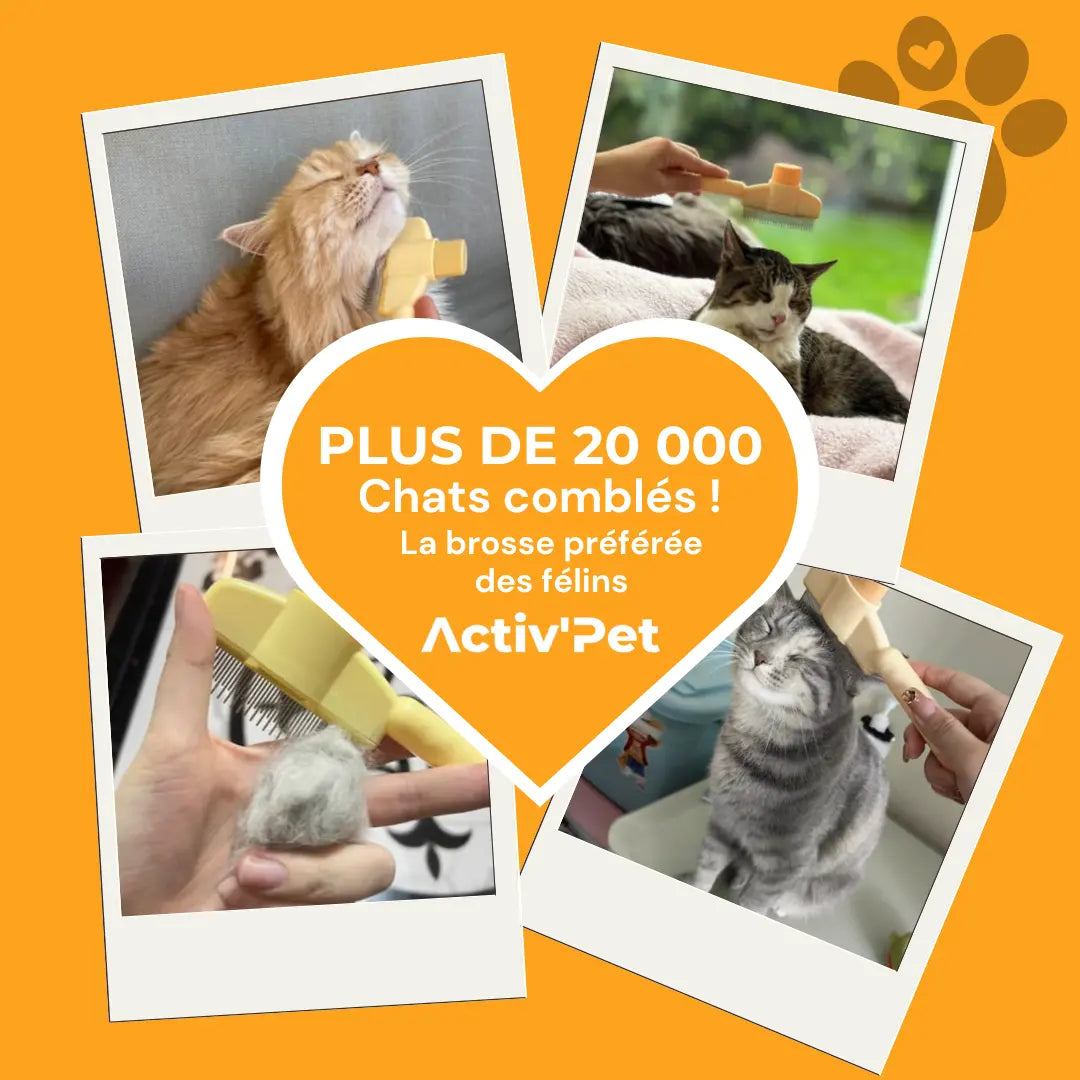 a33a7e6feb8eec3006ad698716034754