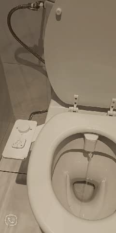 dd731c57087c85485b0a29318014e8e4