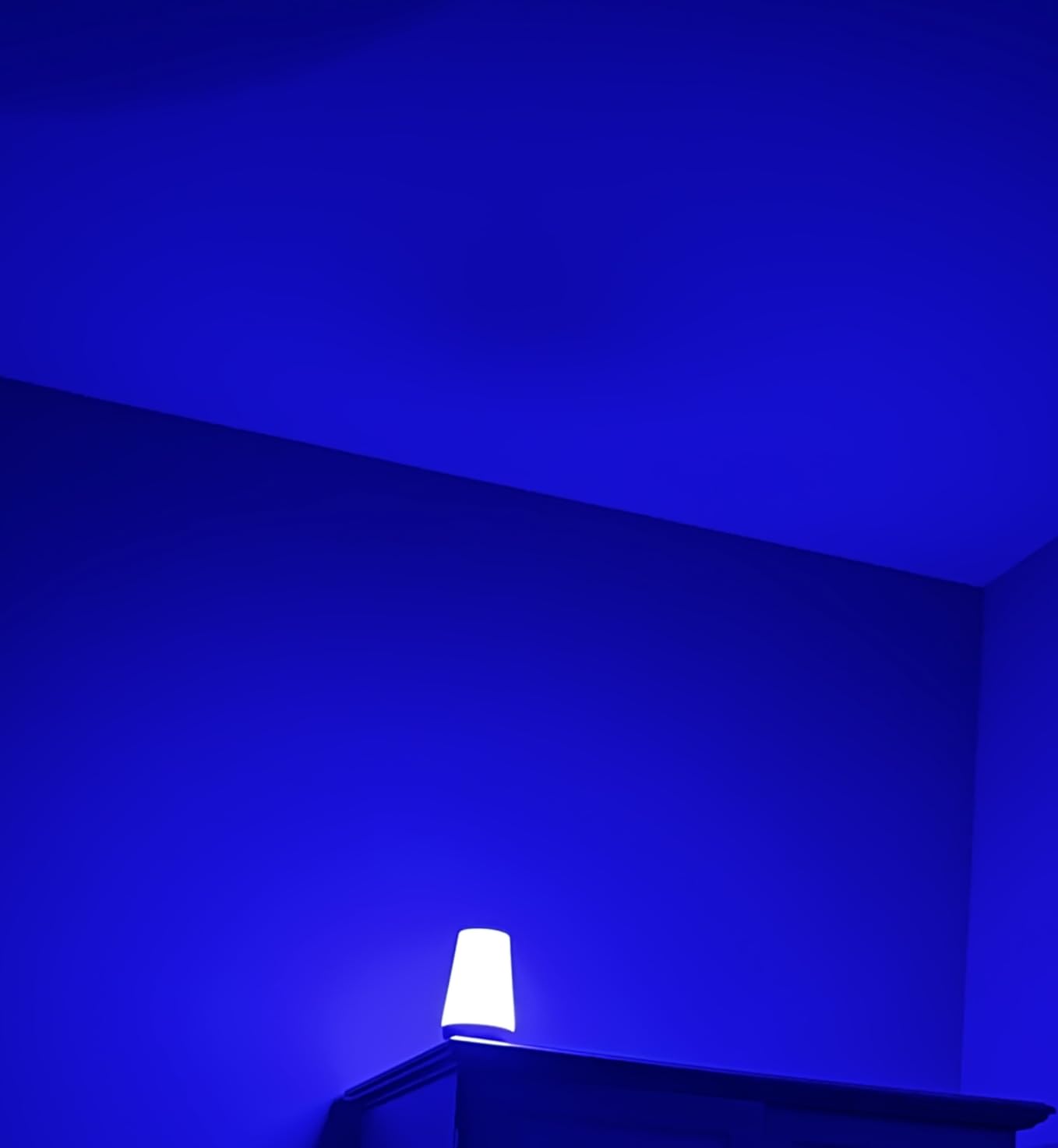 ee674747850b05a6207c7158363c37b5