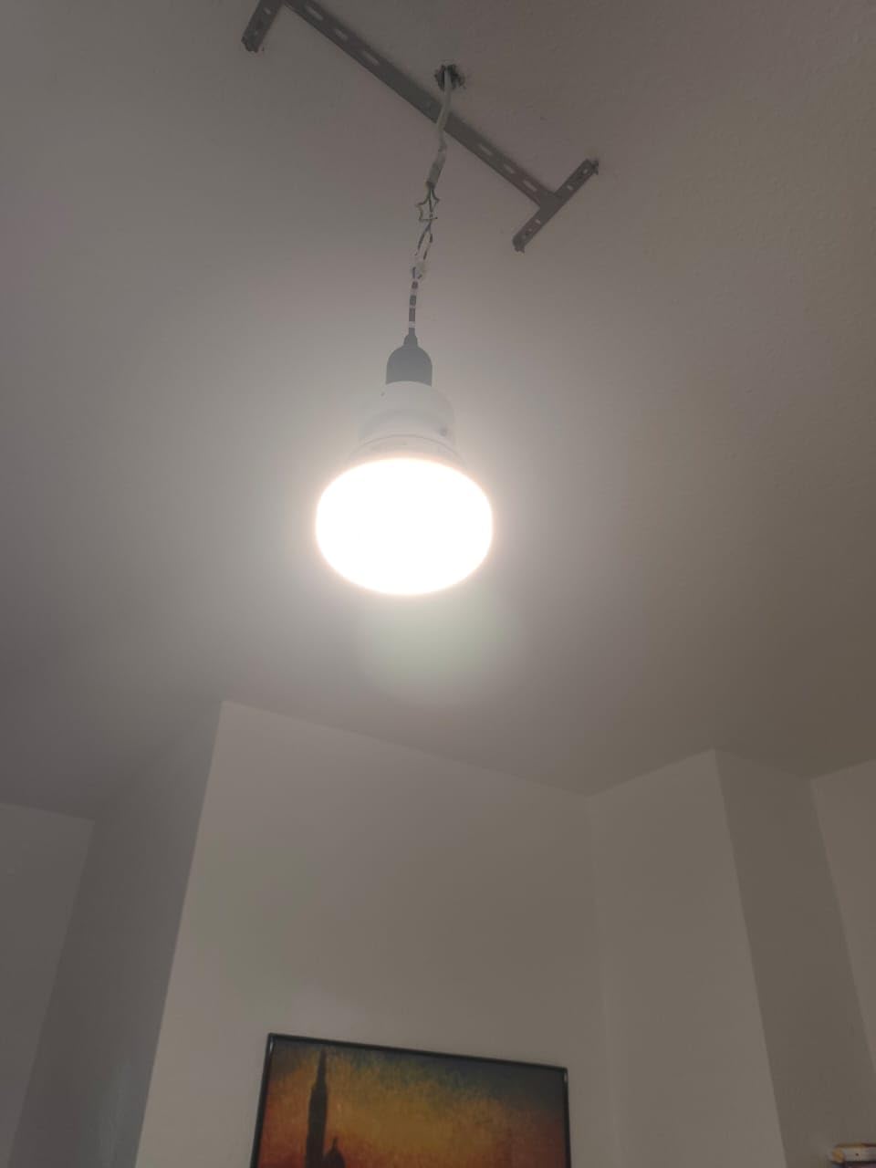 3d49a6ef3dea2958438a7066339548b3