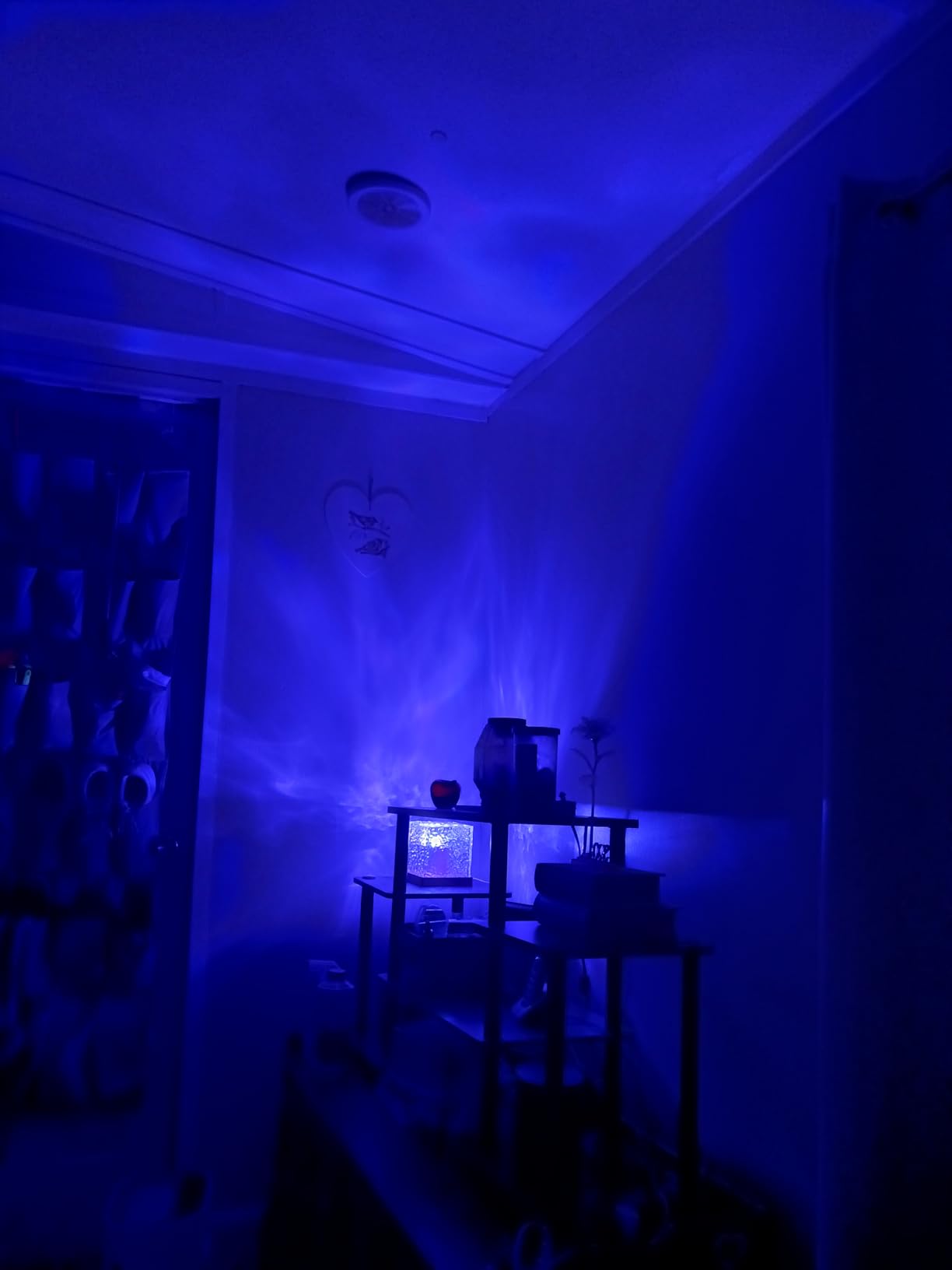 00330eb07f94a5c7f560342ad11ab6a1