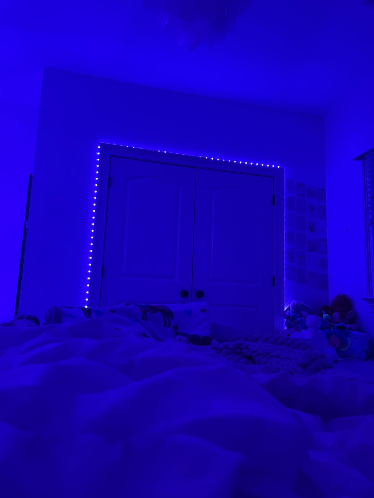 a5bb64126b2a03e7451d4c390ca1ce02