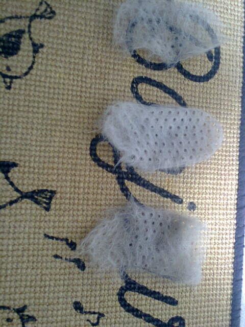 d3735bec67e8f57bb67e29666000fe27