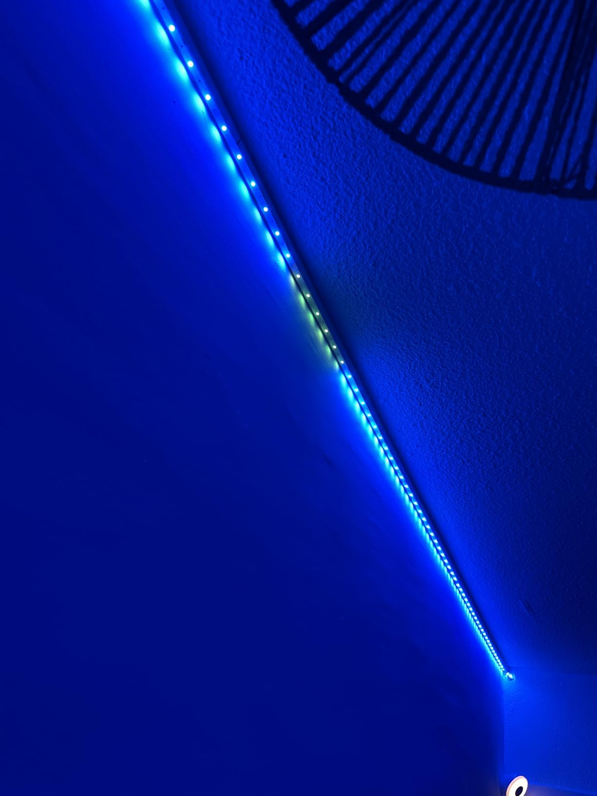 8813cd619b4168e0c3e4c1602291b1ee