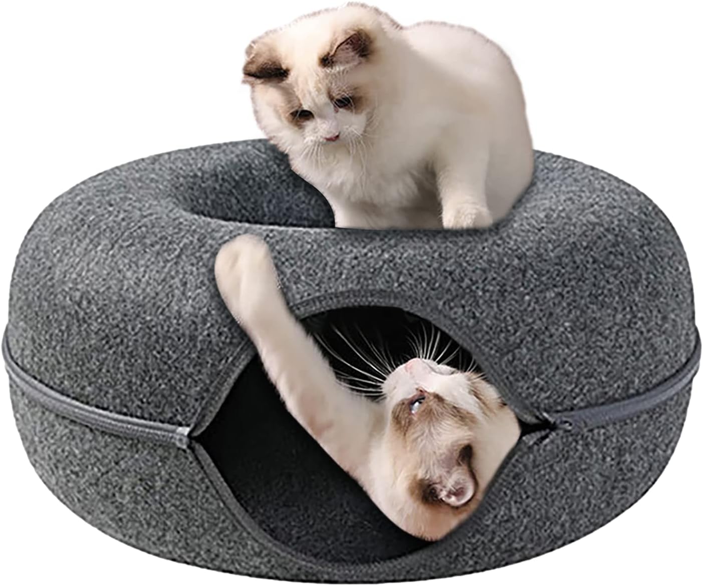 c7afd9a4376f25ae8e8db6ff424892f1