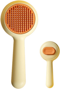 Brosse à poils design