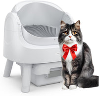 Litière pour chat