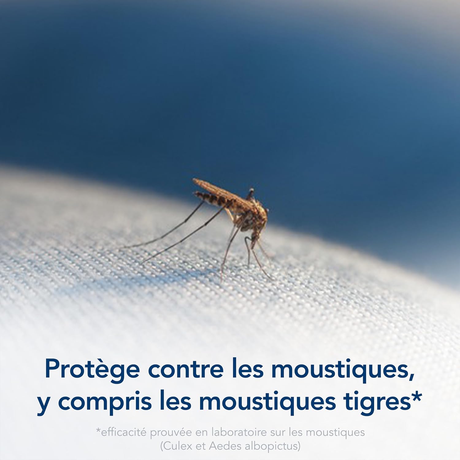 e68bc0793bd00dd5e44d09939cb8a211