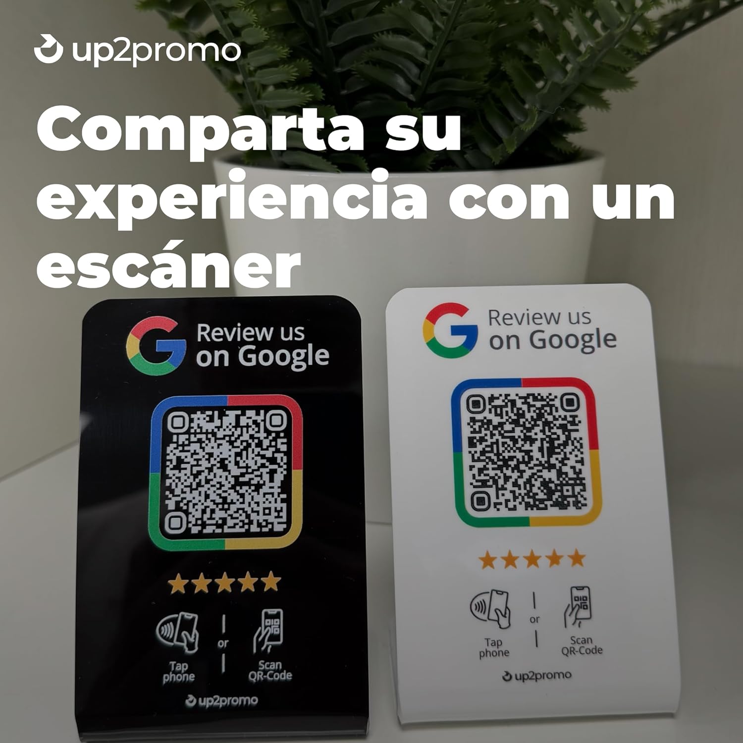 0958640769a43f65d04138f87b14543d