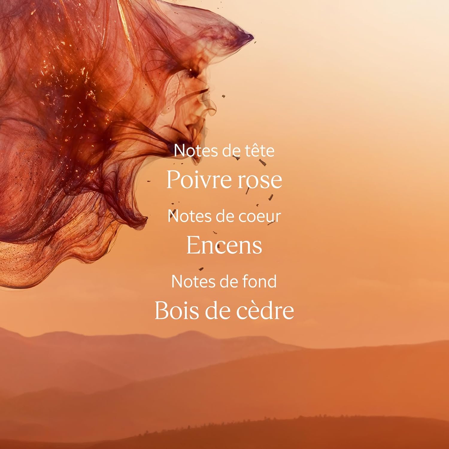0892dd4dc2814b1c5ae02f8b69234f23