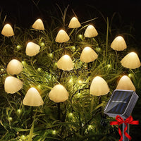Lumiere champignon