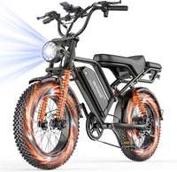 VOLTVOGUE Electric Bike