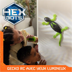 cc62ecd3bf9e4eac975629028ec60b03