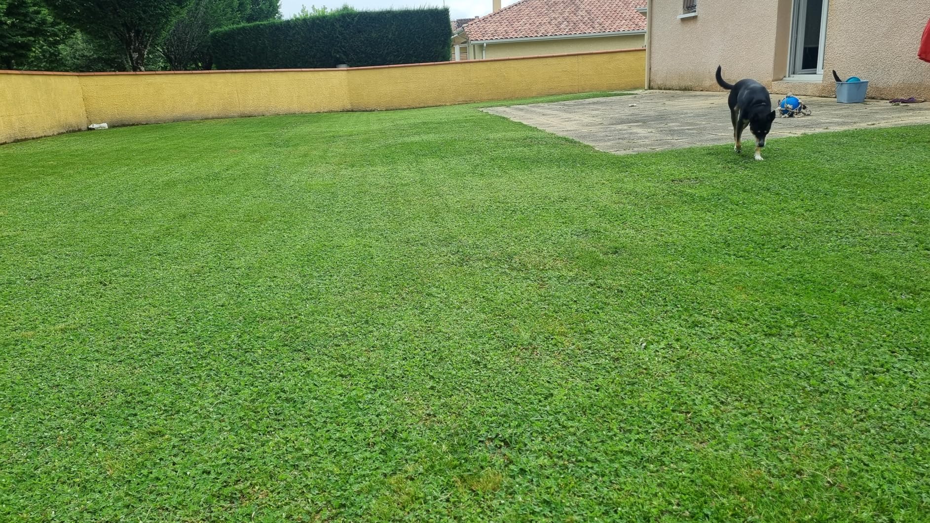 6bd03139258874887fcd56d3be751133