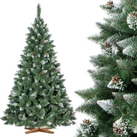 SAPIN