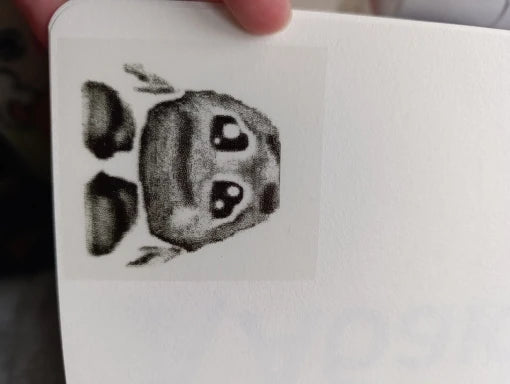 c6847b2e19a9aae3ce4cc802374dcdaf
