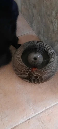 03c1896c876e6443ecd1a13b583500fd