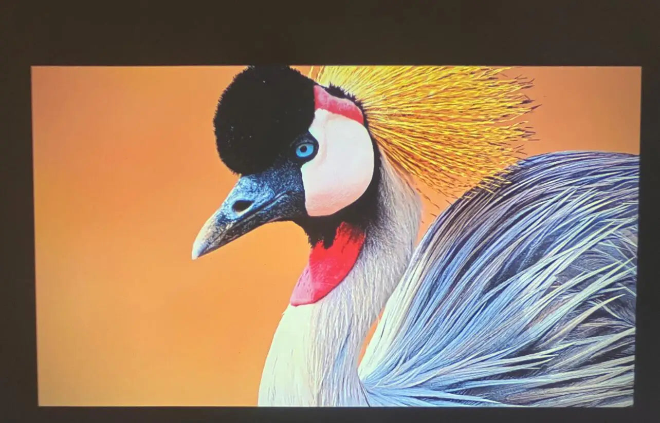 0e2588e6b9343e2d194ddceec34ab5e5