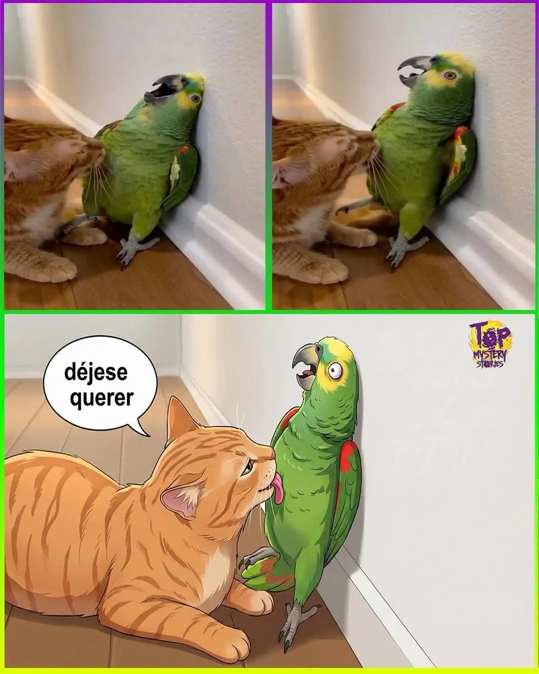 30d75e2d0ee74b79de7064a6f6dbf910