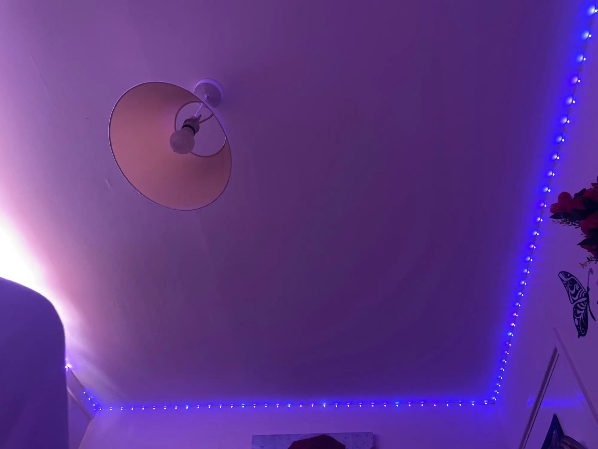 d0278428f906c6600c8e557e067d791d