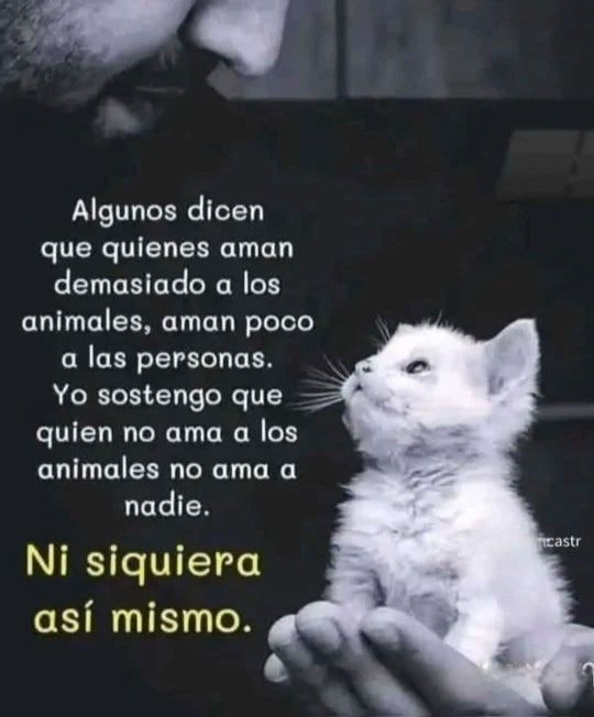 bd88fd03ddc8206c6b433d9f5f8c90ef
