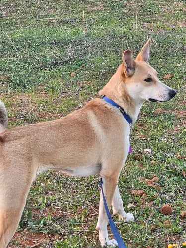 0c48fb004c60c671df1e2f60df64dd58