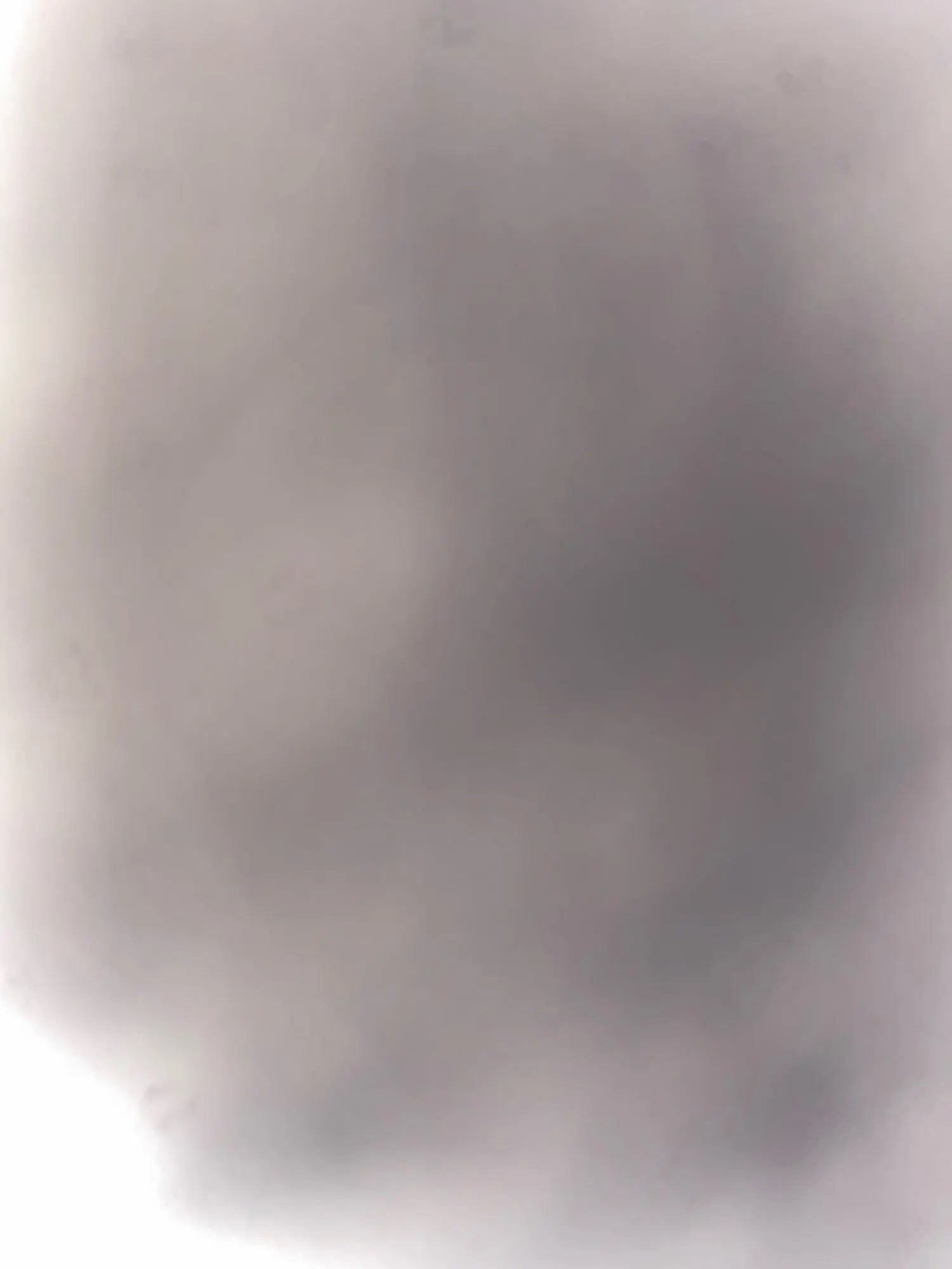 535ea814b8af22695505927582018488
