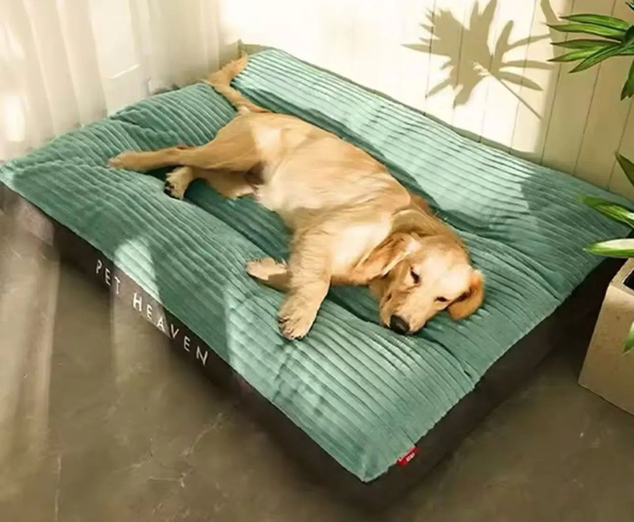 87190dd50e7f80f6d472a78835335057