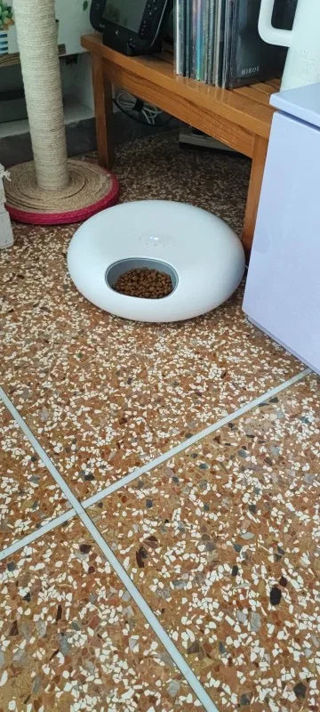 f6c038982a8896106dff935f4b8d3161