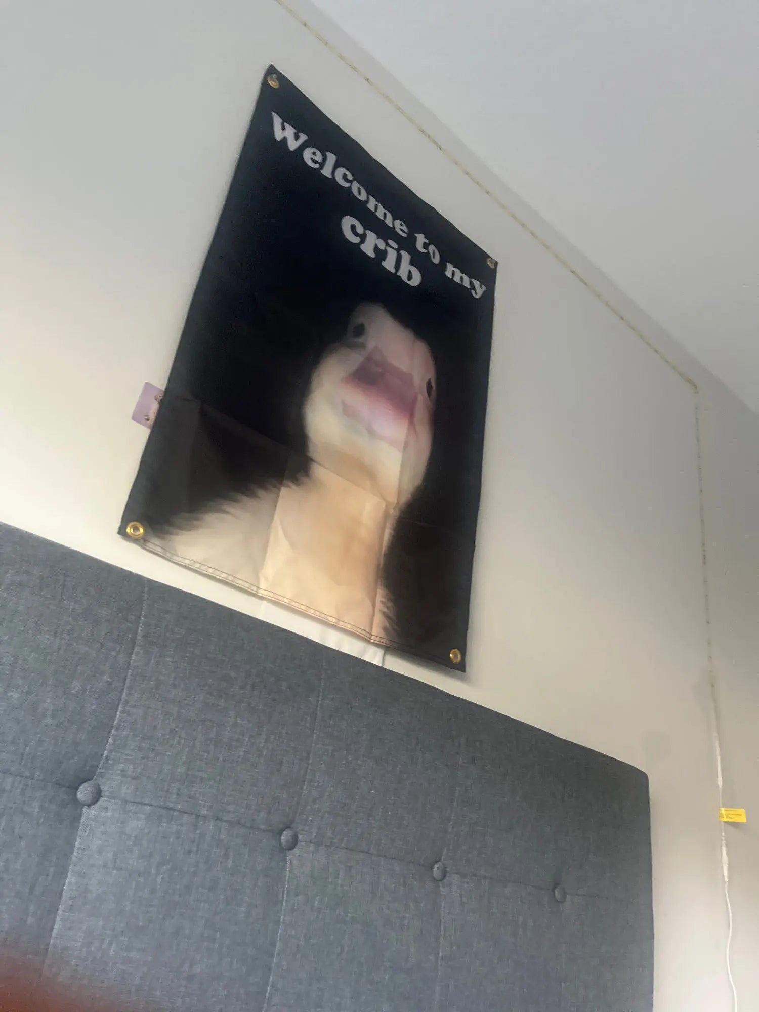 fe0f6bc4c0a7f7dda1a3ea4ad7e6eb73
