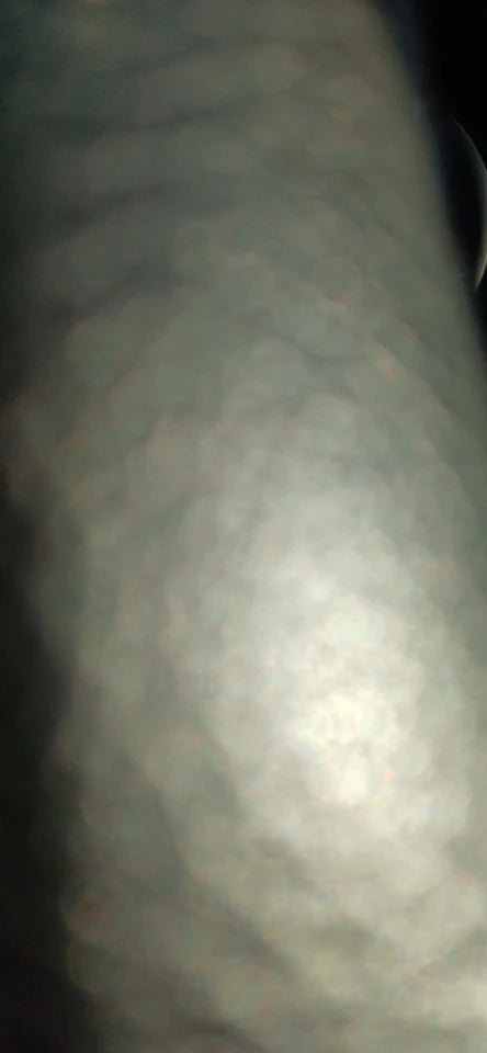efa8c0e9ecae4f5d0abacb3cb72ced50