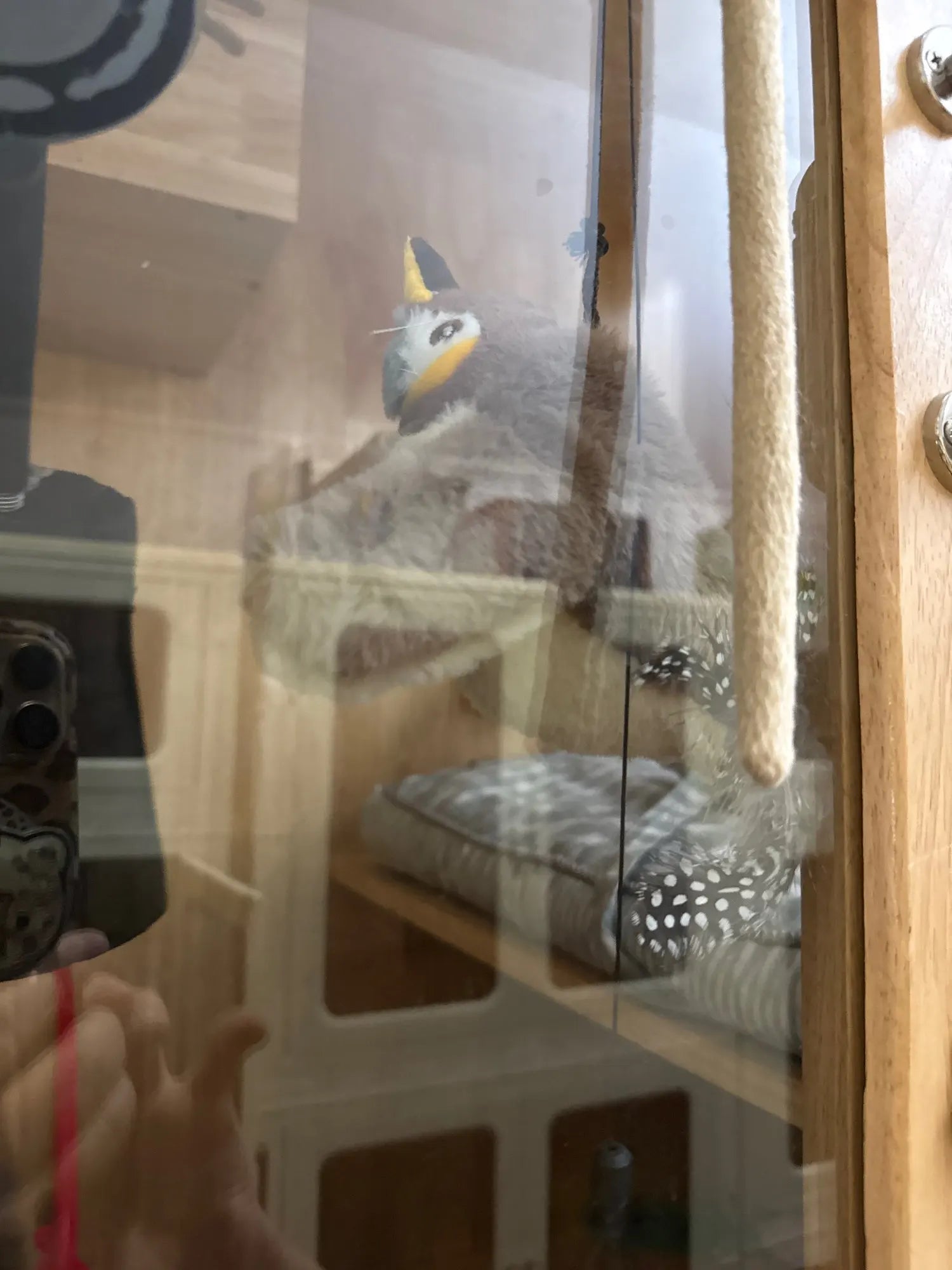 dc50f50d1b1916df1f551fc2b1ef4c69