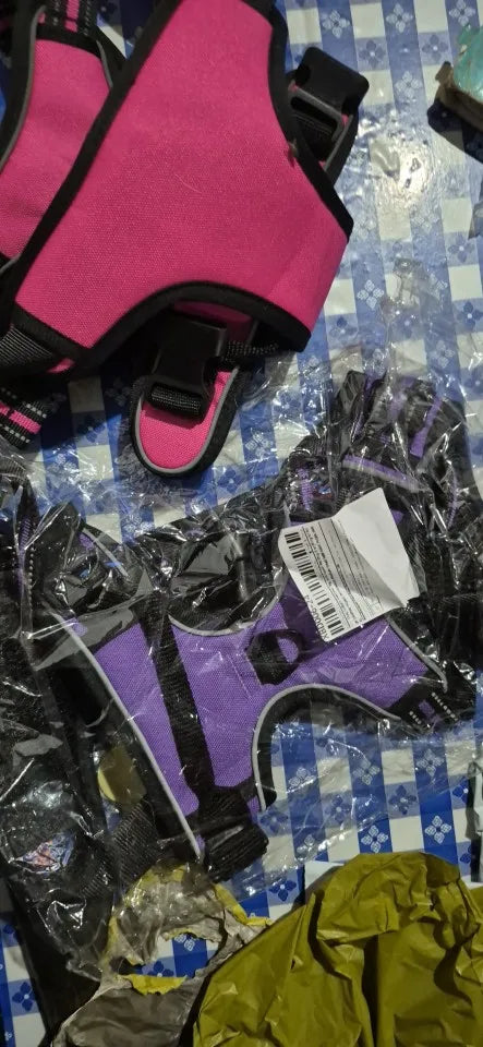 b659ffb80325a83739fa0133077b8bb2
