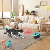 Cat toy