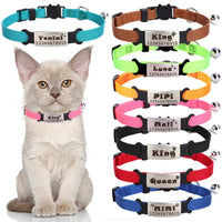 Collier  pour chat