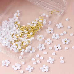 9f6e5eb58b14b0d5cafd59b12628c888