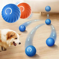 balle interactive pour chien
