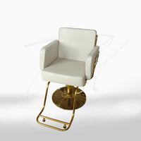 XS-S06 CHAISES COIFURE GRIS EX