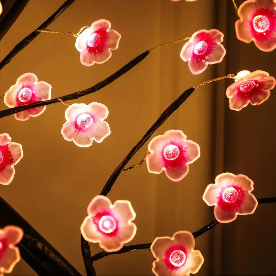 d9576bcfe0fd4e1a68af9dca4938b2d9