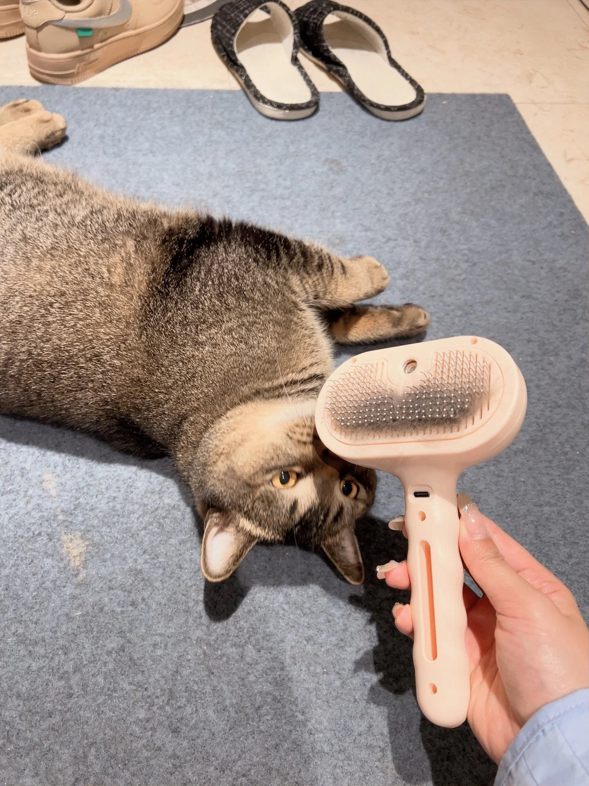 8f36f9de7689f38ed81988b5589a6783