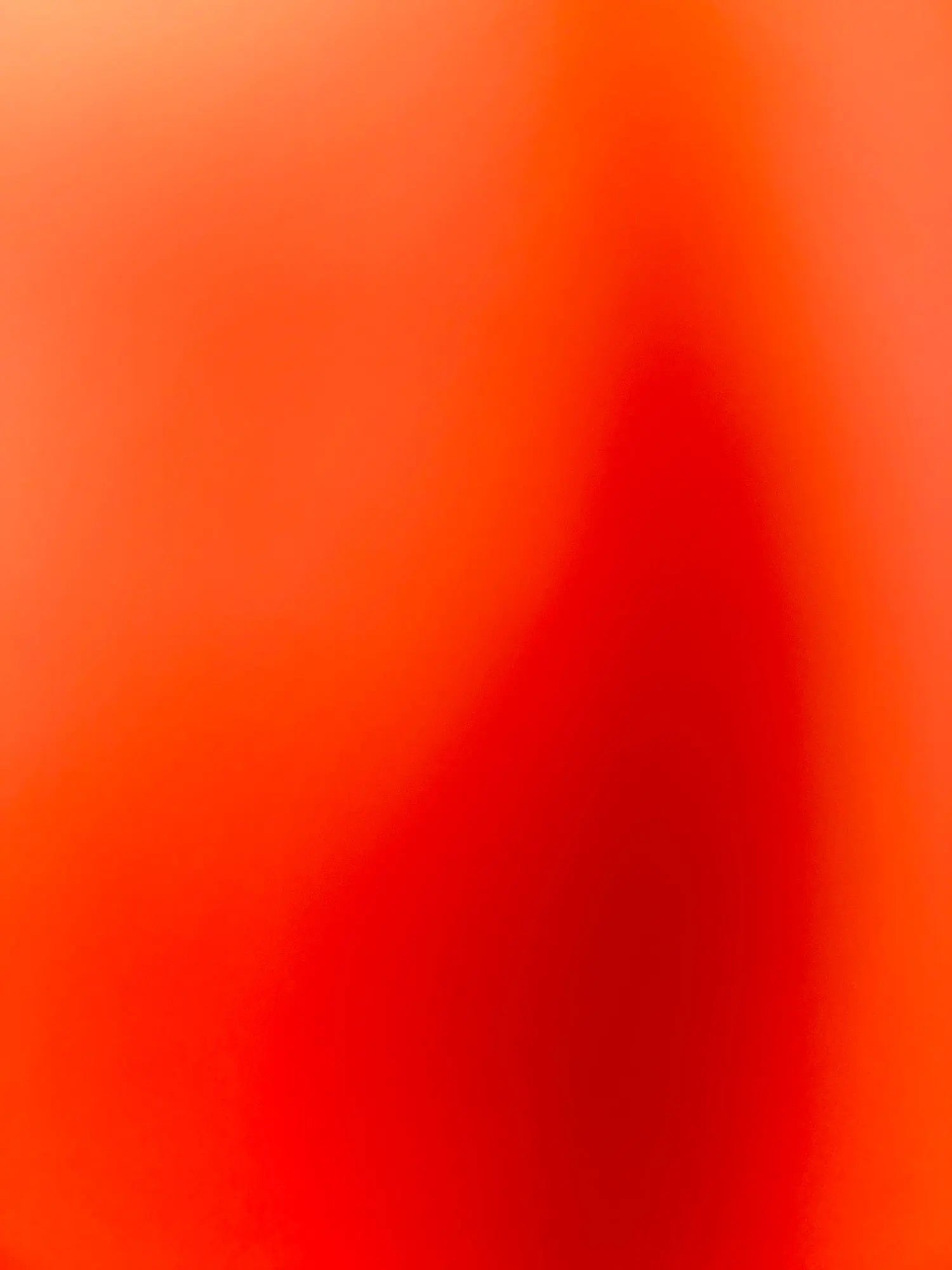 86cf7549f546acdf01a31cf2f287c497