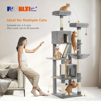 XL grands-chats