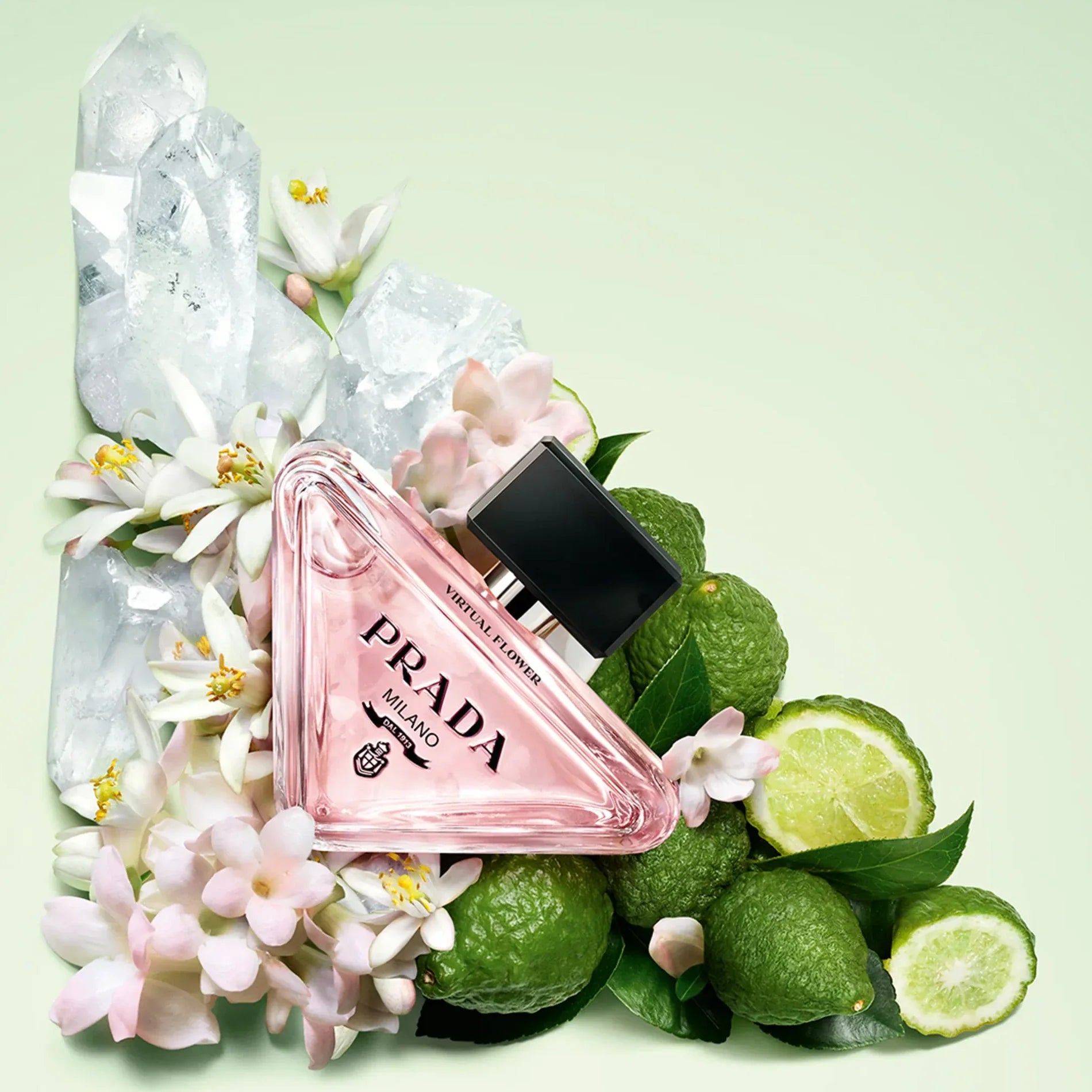 89449aaa4a097807d5b344f69006ccd0